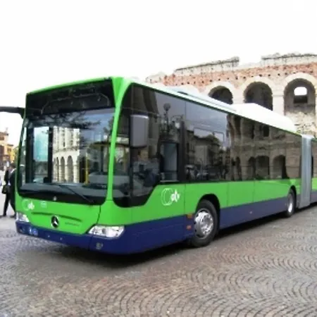 Lvg Collection - Gardenia