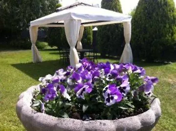 Lvg Collection - Gardenia Hotel 3*